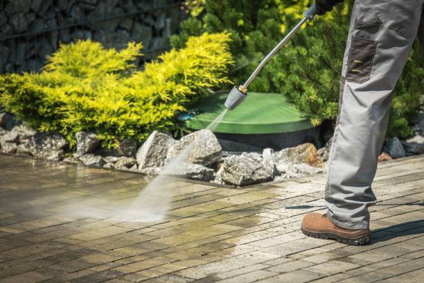 Best Driveway Cleaning and Restoration in Stafford Courthouse, VA