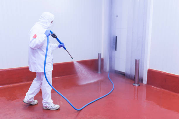 Best Roof Cleaning and Mildew Removal in Stafford Courthouse, VA